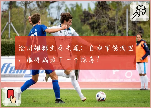 沧州雄狮生存之道：自由市场淘宝，谁将成为下一个惊喜？