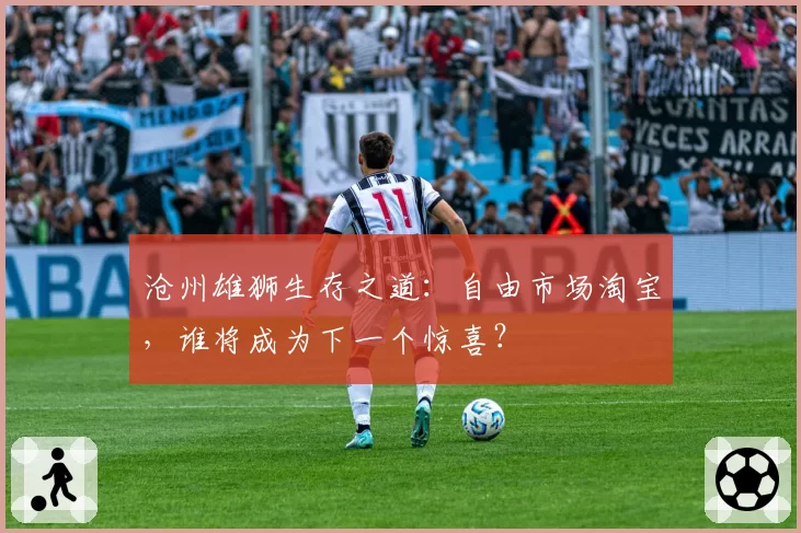 沧州雄狮生存之道：自由市场淘宝，谁将成为下一个惊喜？