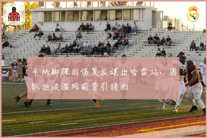 辛纳脚踝旧伤复发退出哈雷站，团队拒谈温网前景引猜测